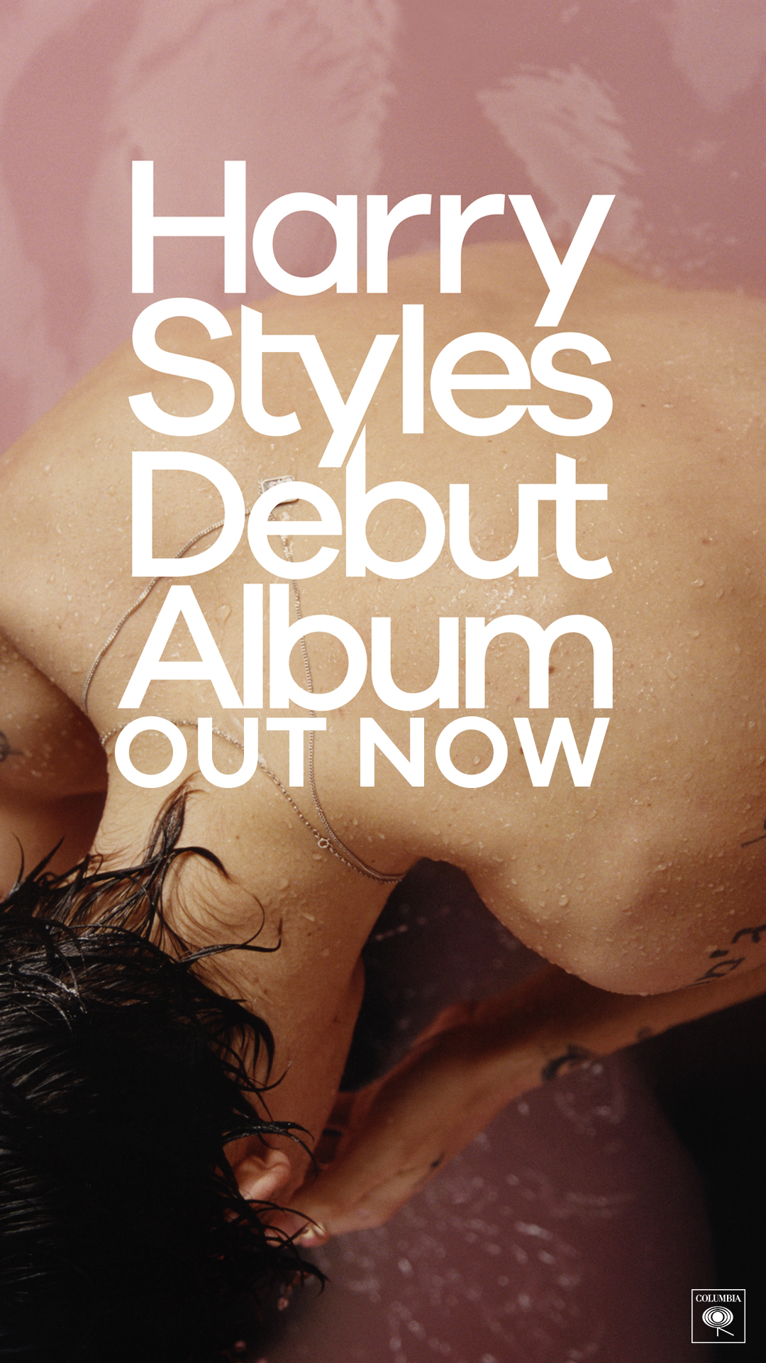 Harry Poster 6S Spec